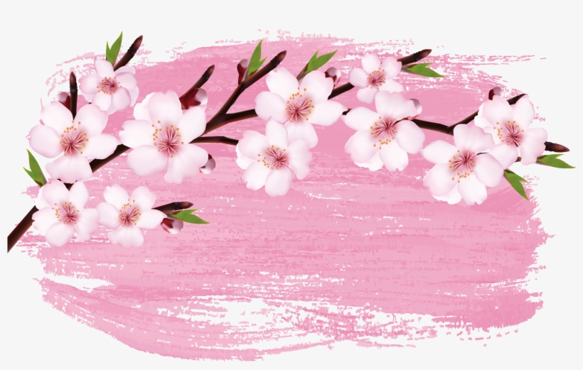 Detail Cherry Blossom Flower Png Nomer 31