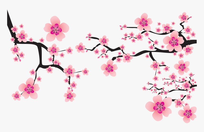 Detail Cherry Blossom Flower Png Nomer 54