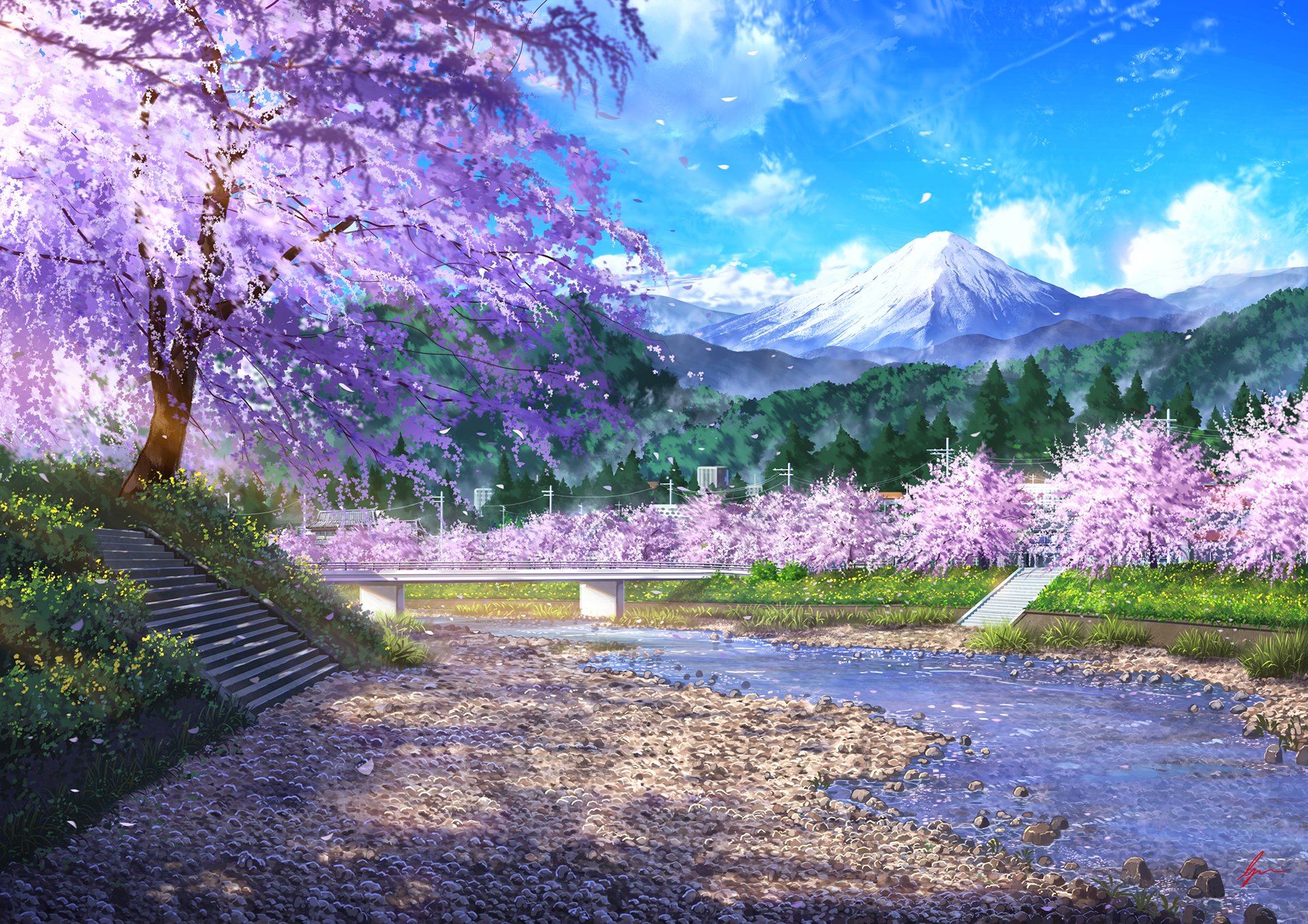 Detail Cherry Blossom Hd Wallpaper Nomer 47