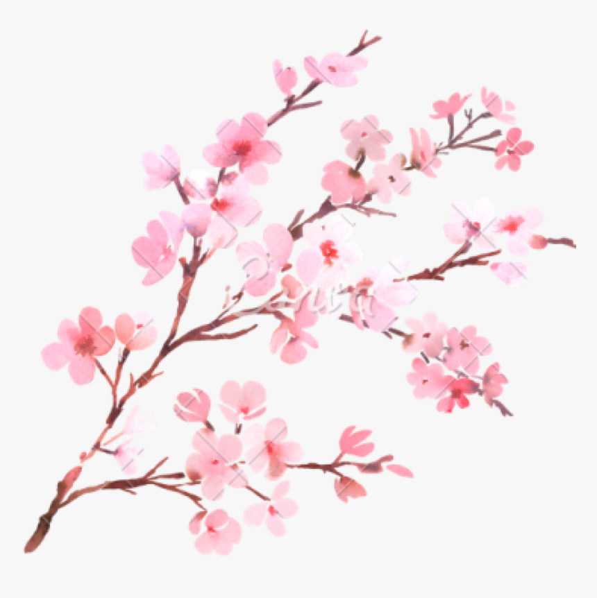 Detail Cherry Blossom Image Free Nomer 23