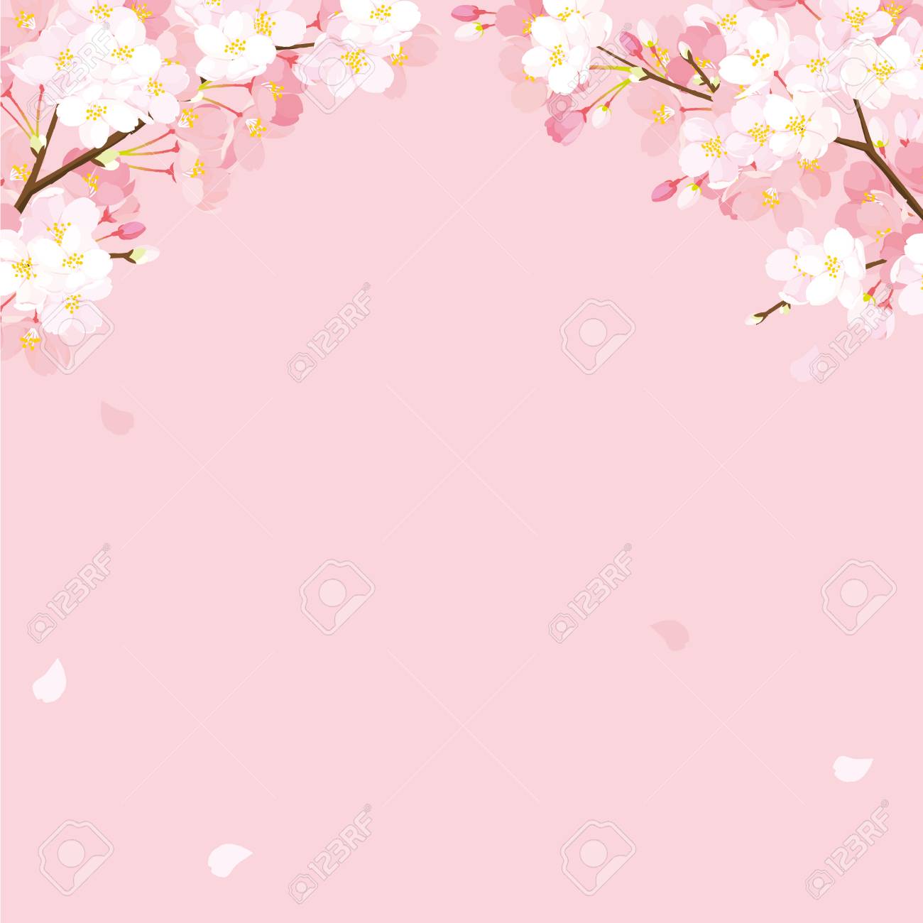 Detail Cherry Blossom Image Free Nomer 24