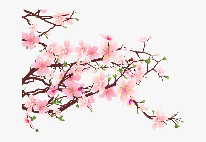 Detail Cherry Blossom Image Free Nomer 26