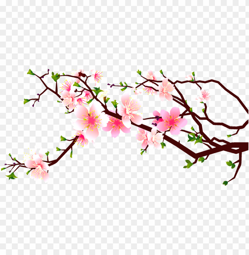 Detail Cherry Blossom Image Free Nomer 34