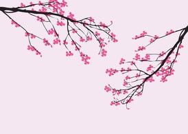 Detail Cherry Blossom Image Free Nomer 36