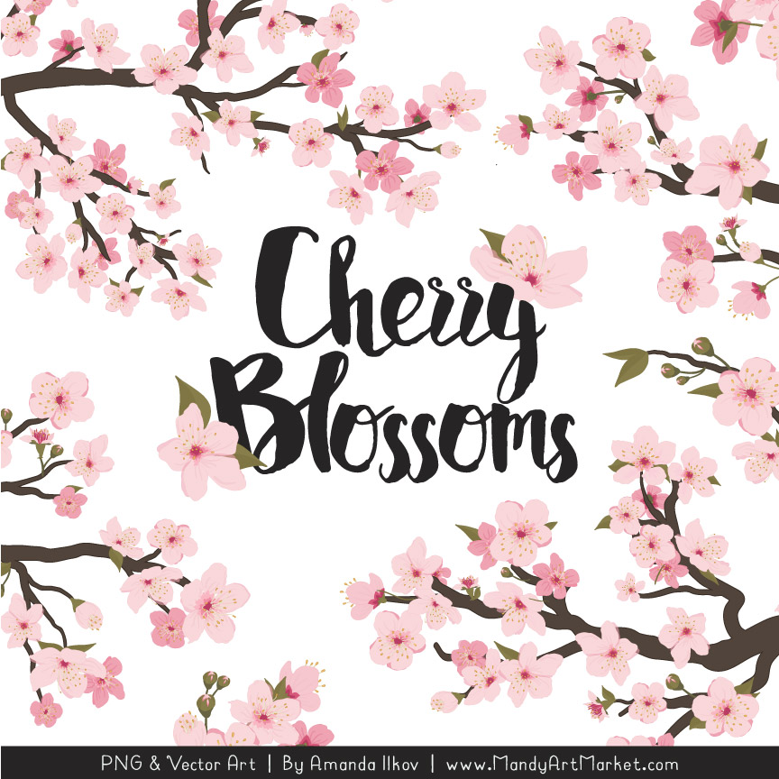 Detail Cherry Blossom Image Free Nomer 38