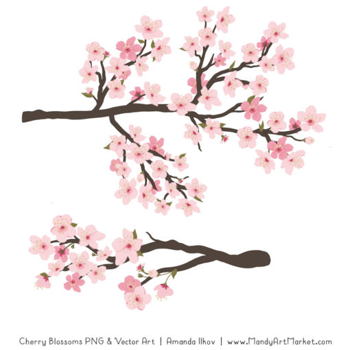 Detail Cherry Blossom Image Free Nomer 52
