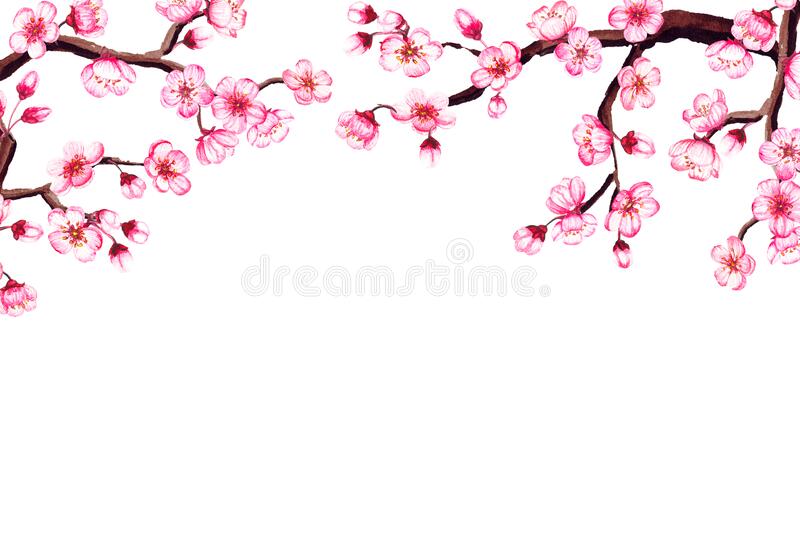 Detail Cherry Blossom Images Free Nomer 24
