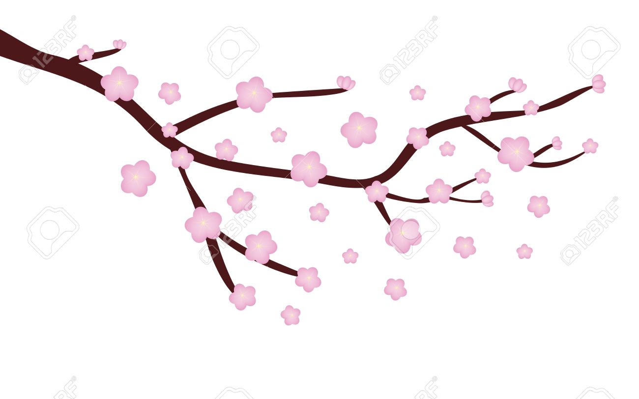 Detail Cherry Blossom Images Free Nomer 36