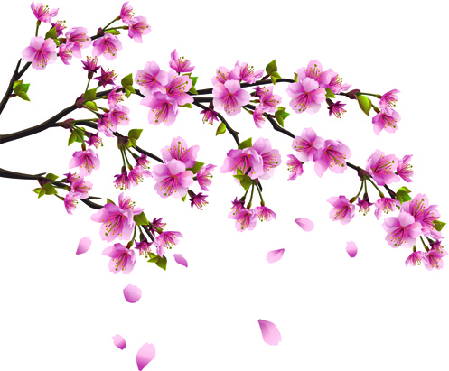Detail Cherry Blossom Images Free Nomer 44
