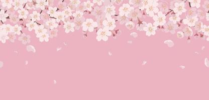 Detail Cherry Blossom Images Free Nomer 47