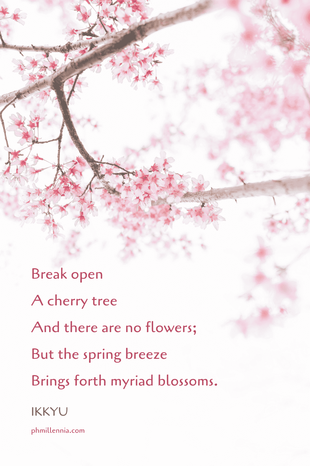 Detail Cherry Blossom Quotes Nomer 12