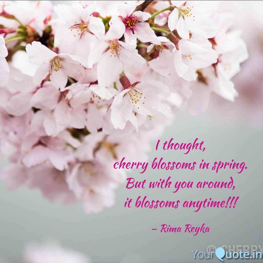 Detail Cherry Blossom Quotes Nomer 33