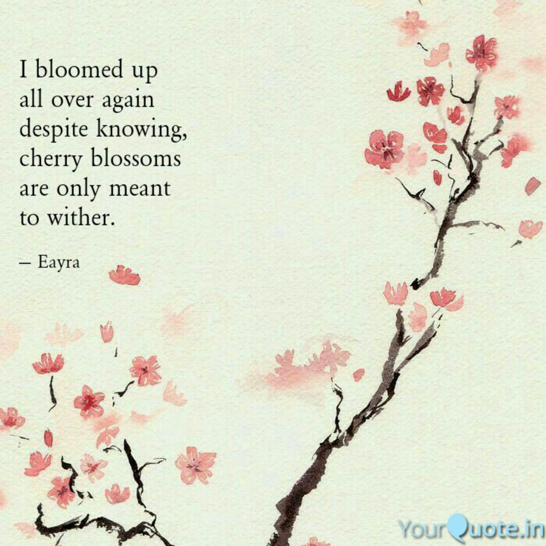 Detail Cherry Blossom Quotes Nomer 55