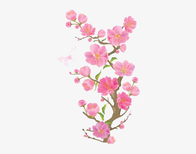 Detail Cherry Blossom Transparent Background Nomer 23