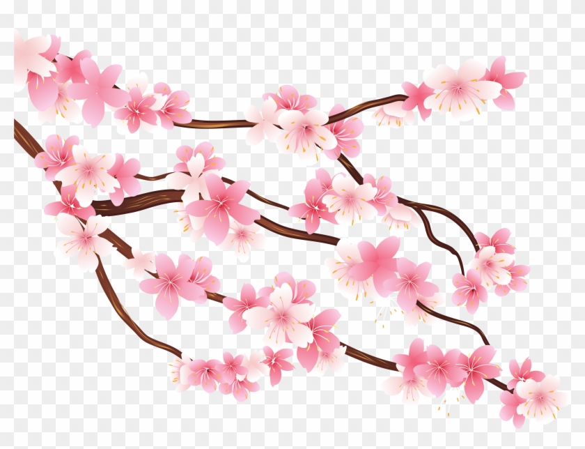 Detail Cherry Blossom Transparent Background Nomer 28
