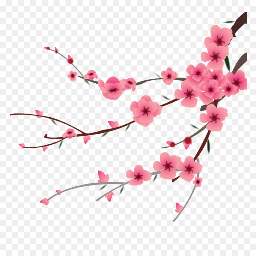 Detail Cherry Blossom Transparent Background Nomer 56