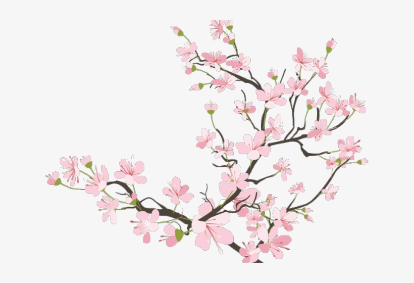 Detail Cherry Blossom Transparent Background Nomer 9