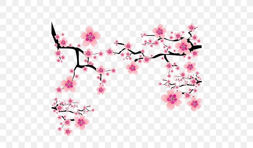 Detail Cherry Blossom Vector Png Nomer 33