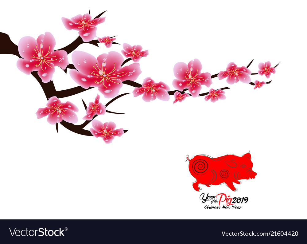 Detail Cherry Blossom Vector Png Nomer 36