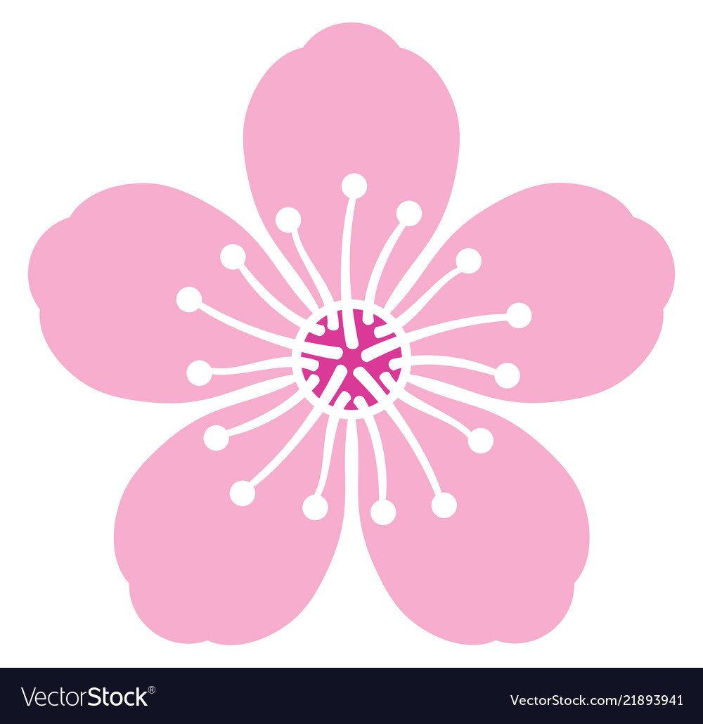 Detail Cherry Blossom Vector Png Nomer 37