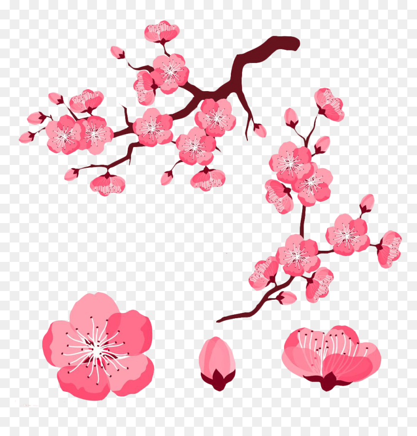 Detail Cherry Blossom Vector Png Nomer 48