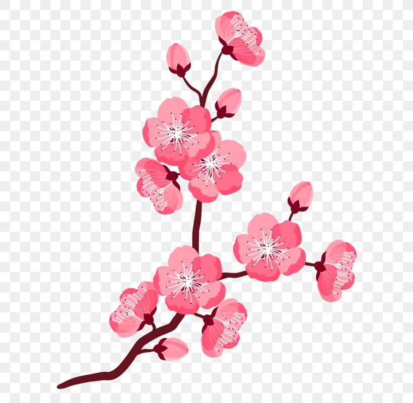 Detail Cherry Blossom Vector Png Nomer 50