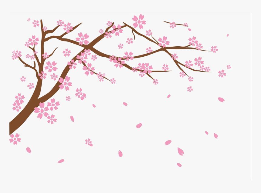 Detail Cherry Blossoms Png Nomer 16