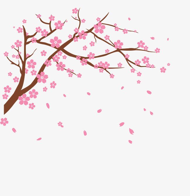 Detail Cherry Blossoms Png Nomer 17