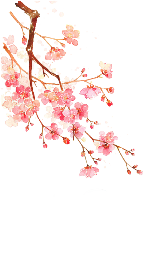 Detail Cherry Blossoms Png Nomer 3