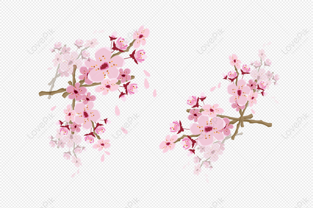 Detail Cherry Blossoms Png Nomer 23