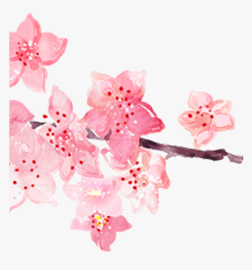 Detail Cherry Blossoms Png Nomer 25