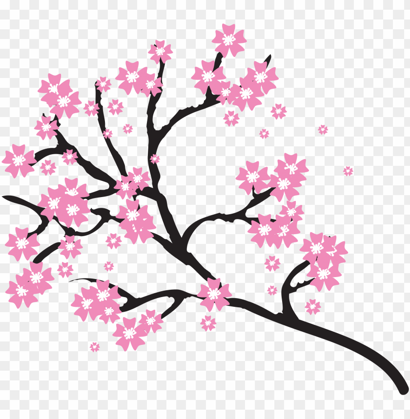 Detail Cherry Blossoms Png Nomer 29