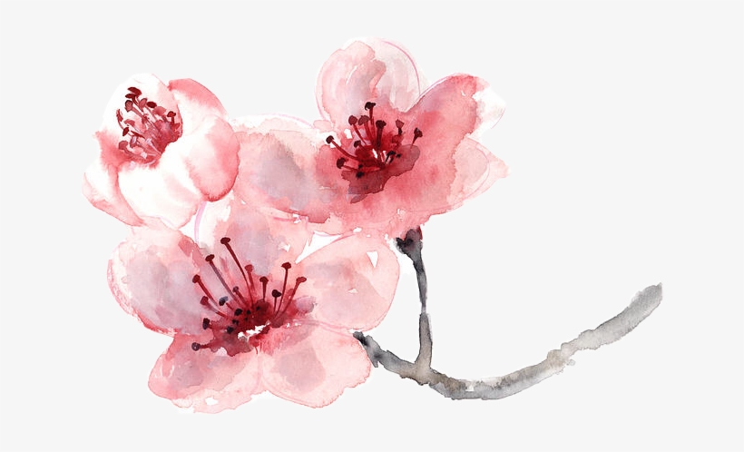Download Cherry Blossoms Png Nomer 38