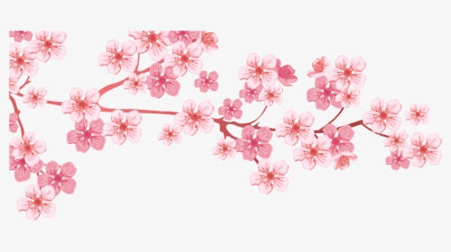 Detail Cherry Blossoms Png Nomer 41