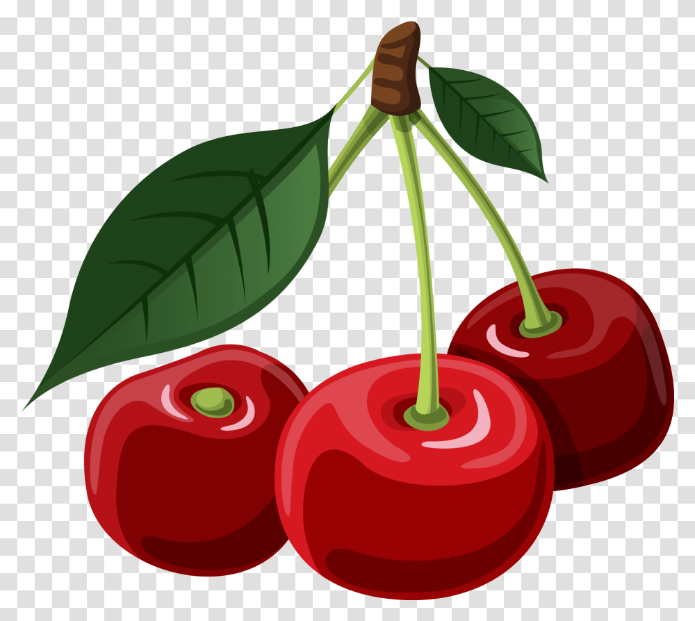 Detail Cherry Clipart Nomer 10