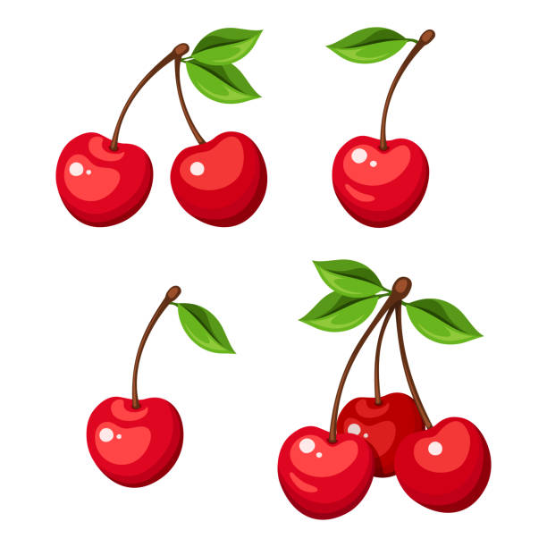 Detail Cherry Cliparts Nomer 12