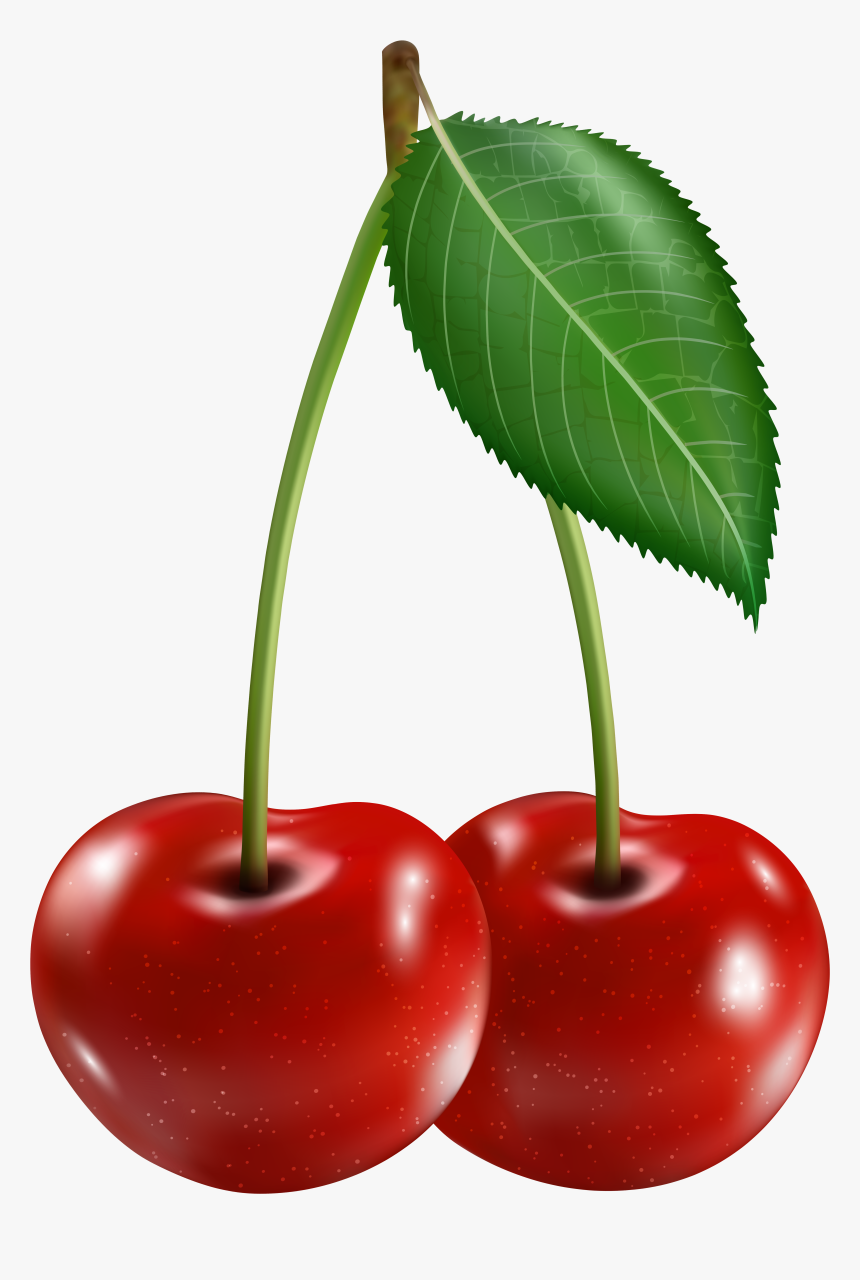 Detail Cherry Download Nomer 16