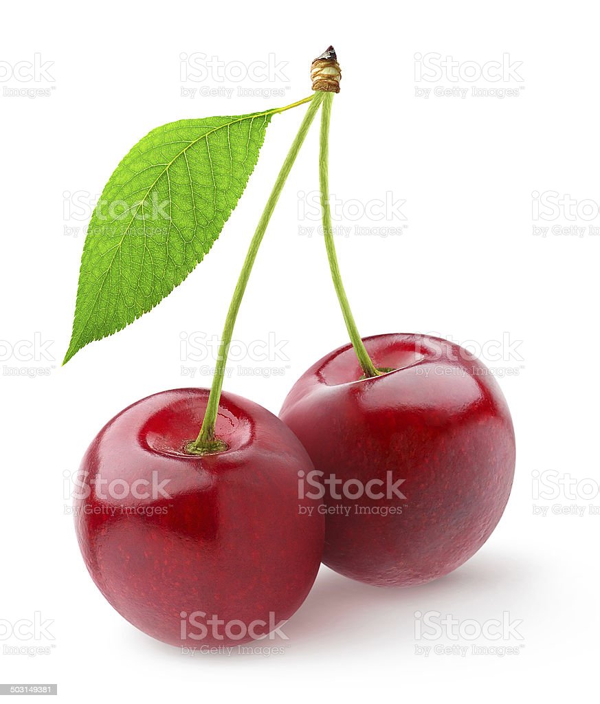 Detail Cherry Download Nomer 45