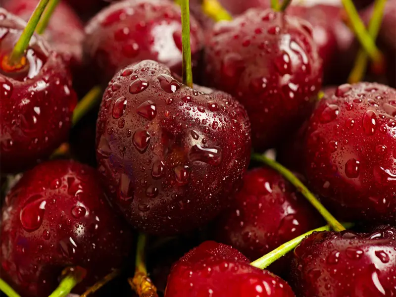 Detail Cherry Fruit Images Nomer 26