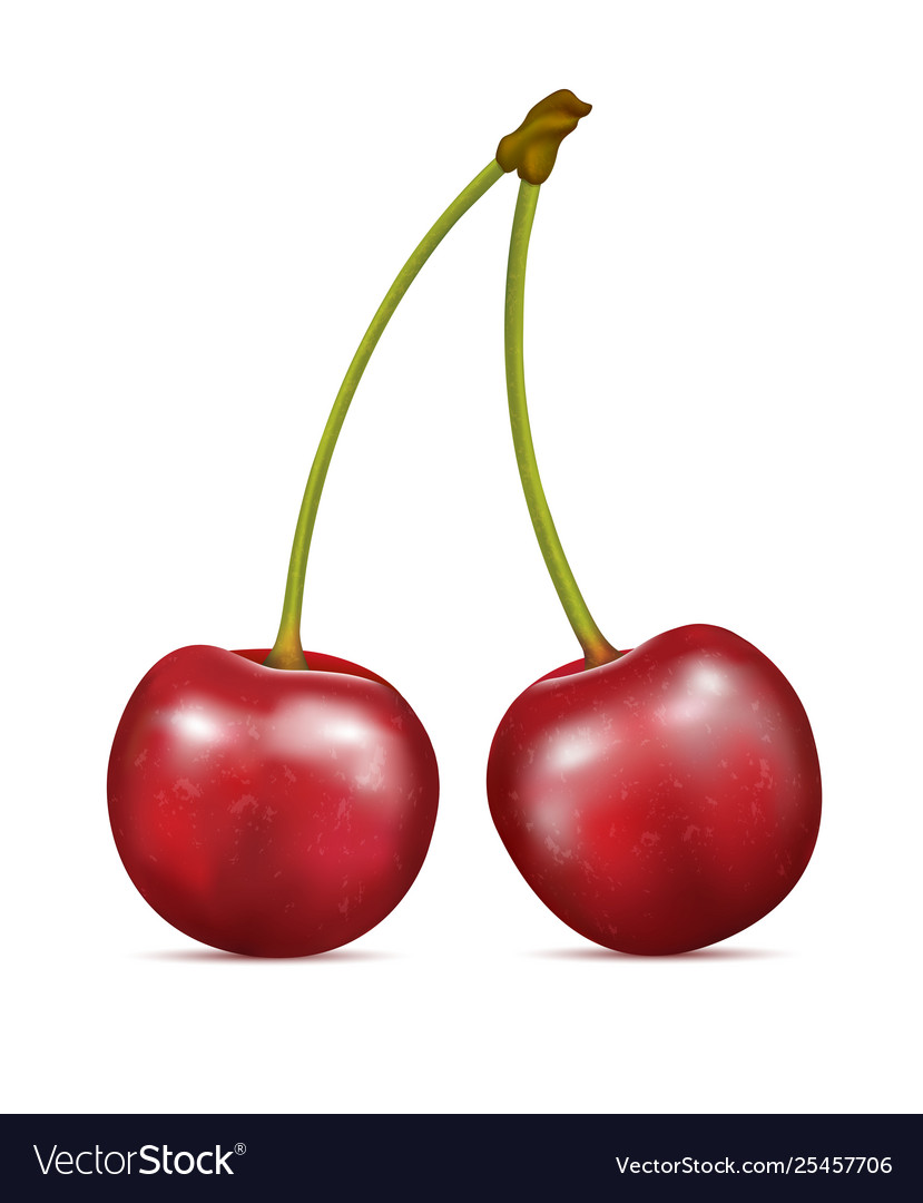 Detail Cherry Fruit Images Nomer 9