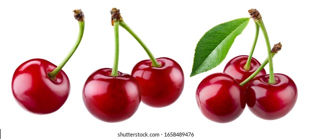 Detail Cherry Image Nomer 13