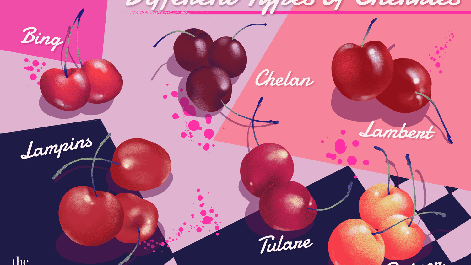 Detail Cherry Image Nomer 56