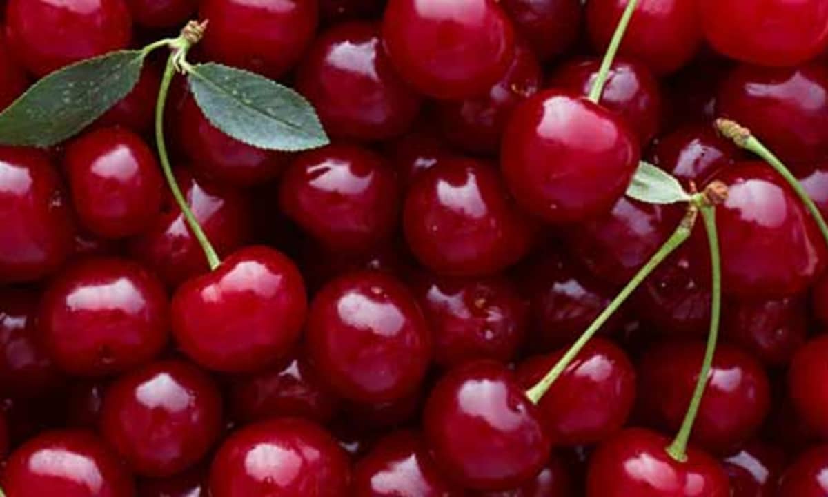 Detail Cherry Image Nomer 9