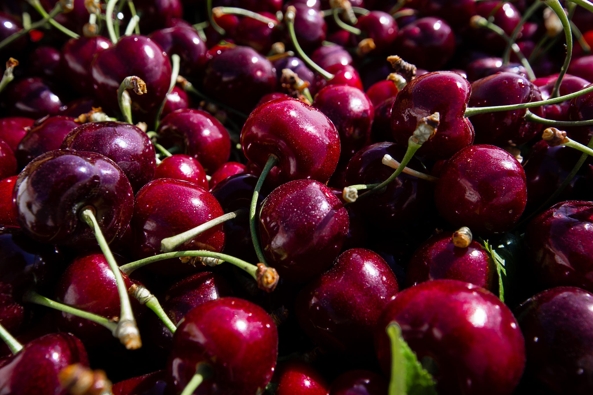 Detail Cherry Images Nomer 57