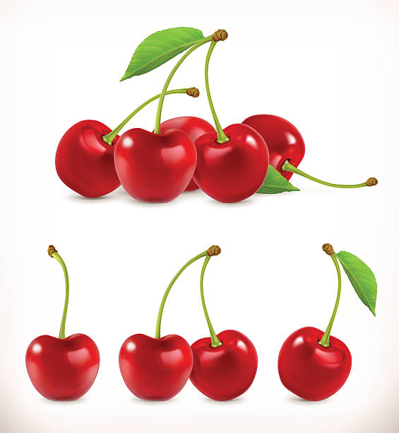 Detail Cherry Images Clip Art Nomer 45