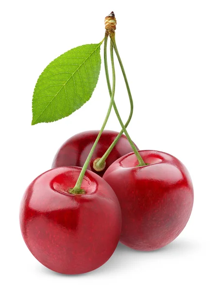 Detail Cherry Pic Nomer 24