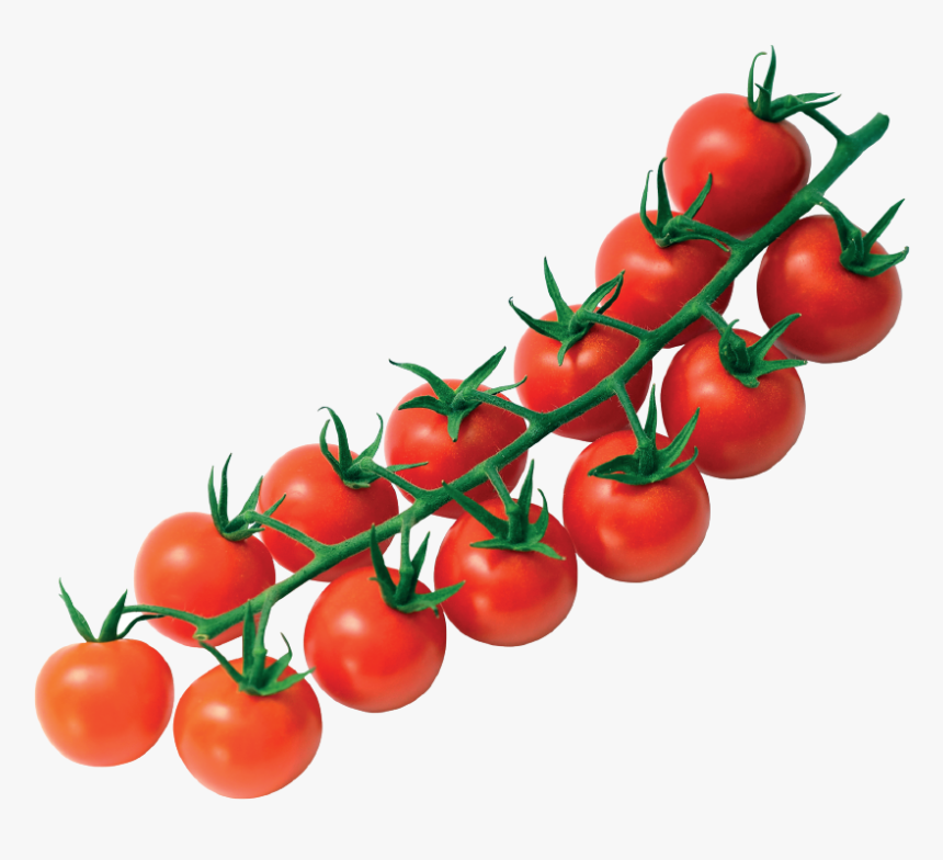 Cherry Tomato Png - KibrisPDR