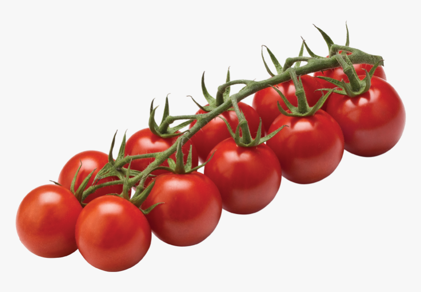Detail Cherry Tomato Png Nomer 14