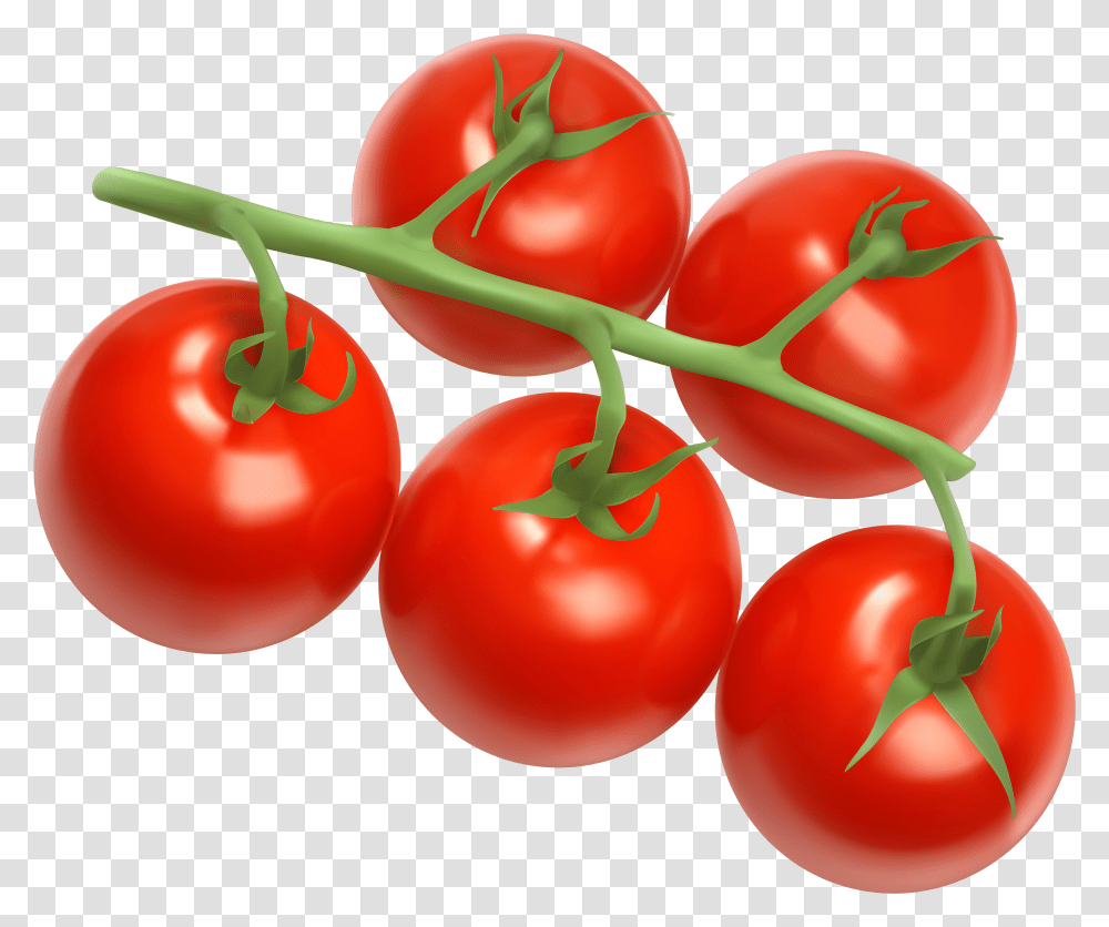 Detail Cherry Tomato Png Nomer 17