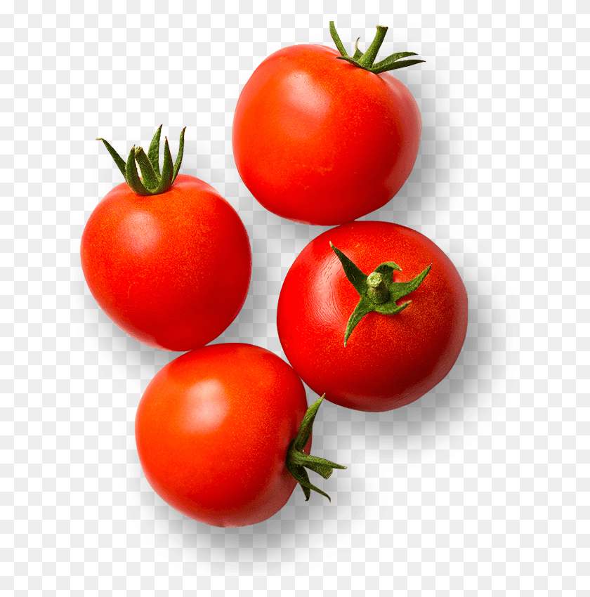 Detail Cherry Tomato Png Nomer 28